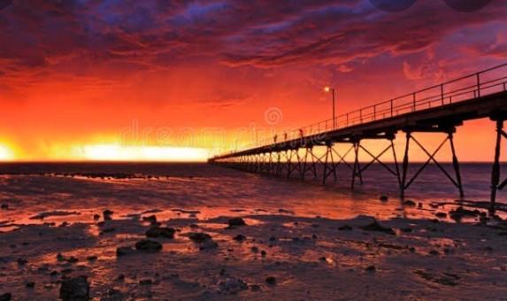 A1Cabins Hotel Ceduna Eksteriør billede